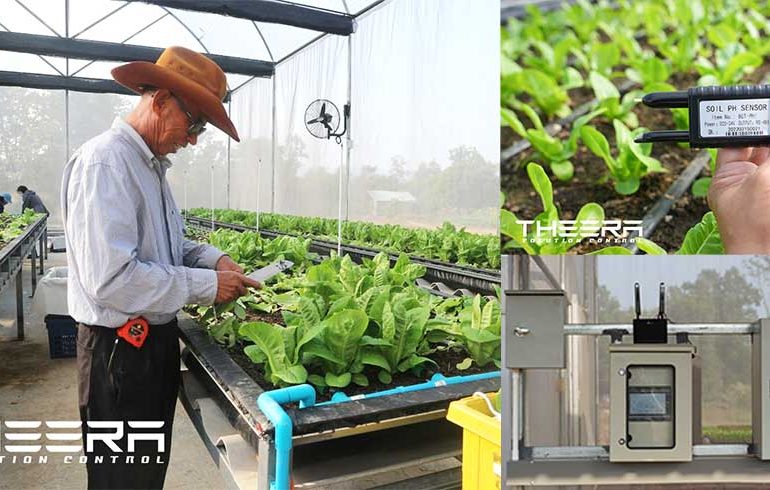 FARMBOOK x THEERA Smart Farming . โครงการความร่วมมือปลูกผักสลัด Organic @วิสาหะกิจชุมชนบ้านกิ่ว อ.แม่ทะ จ.ลำปาง โดย THEERA เป็นผู้สร้างระบบปลูก Smart farm ระบบตรวจวัด Monitoring อุณภูมิ ความชื้น แสง รวมถึง PH และ EC ในดิน, ระบบ IIoT control ควบคุมการรดน้ำ ควบคุมความชื้นและอุณหภูมิในโรงเรือน ควบคุมการเปิดปิดม่านพรางแสง โดยเป็นการควบคุมระยะไกลความแม่นยำสูงผ่าน THEERA Smartfarm Application Platform . หาตลาด และดูแลการขาย Matching เกษตรกร กับผู้ซื้อ พร้อม Profile ของผักและพืชผลการเกษตร โดย FARMBOOK