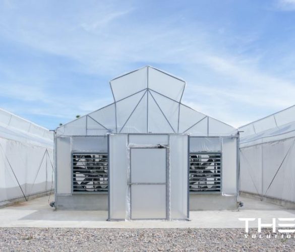 โรงเรือน Smart Greenhouse